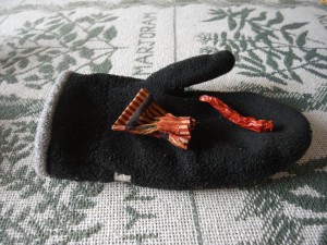 181095_170651529754169_558474658_n