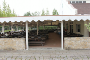 48080_220343724784949_776937863_n